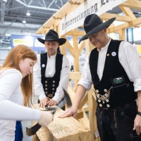HANDWERK live